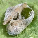 지에스(GS)25 성동샤르망 | |서울 성수| 후쿠오카에서 날아온 빵피 쫄깃 퐁신 나마도넛 '아임도넛 성수점' 호록후기 (^╷ ̫ ╷^)ﾉ❤︎