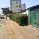 동일리-7 Daum카페