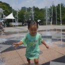 매탄(매여울공원) 이미지