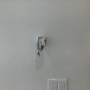 비디오랜드 이미지