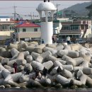 빨간등대 이미지