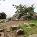 비밀의 정원 이미지