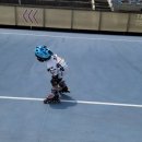 을숙도 인라인경기장 이미지