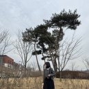 베르제 | 절제된 아름다움, 쇼에chauet 베르제 자켓 구매 후기