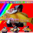 황금향어 이미지