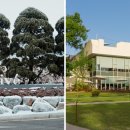 서울승마힐링캠프 이미지