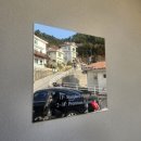 지안FOREST 이미지