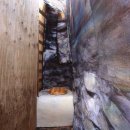 악어화장실 이미지