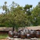 은숙농장 이미지