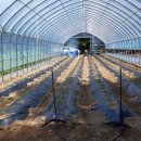 묘하우스 이미지