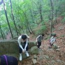 탑조경 이미지