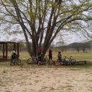 복탄횟집 이미지