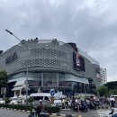 코쿤투어(cocoontour) 이미지
