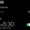 슈가복싱 이미지