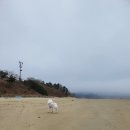 한마음오션플레이스 이미지