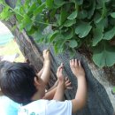 이화유치원 이미지