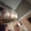 세븐일레븐 노서중앙점 이미지