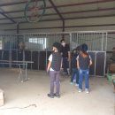 교하운정스카이승마장 이미지