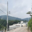 루셀로1 이미지