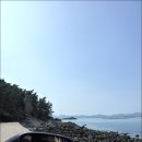 코델리아스파펜션 이미지