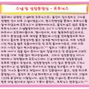 샤인나래