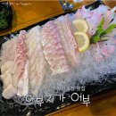 아부지가어부강서점