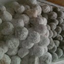 명품도너츠 이미지