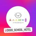도그스테이블 석사점 이미지