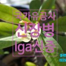 신증행정사 이미지