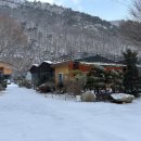 마음애고향 이미지