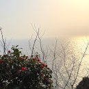 우명(화산) | 울릉도 자유여행 남서일몰전망대와 우산국박물관의 운영시간