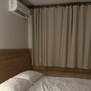 퐁낭에염 이미지