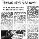 풀숲 이미지