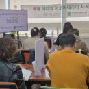 국제메디칼 이미지