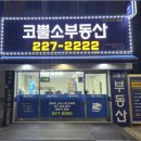 호매실코너스타힐스공인중개사사무소 | 안심 부동산 거래! 호매실역서희스타힐스에서 발견하는 서희코뿔소와의 특별한 부동산 여정