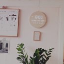 멍그니엘 애견호텔 서울강동점 이미지