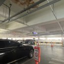 뚱이초장 이미지