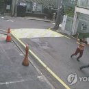 이씨족발