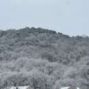 솔빛숲유치원 이미지