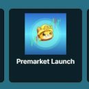 골드 캣 이미지