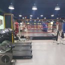 The King Boxing 이미지