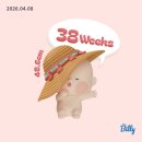 11260-4-10-38 | 임신 38주차 임산부 마지막 일상, 첫 내진, 내진혈, 배크기, 막달 운동, 이슬비침