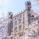 이야기,꽃 이미지