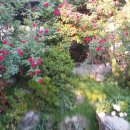 경북기름집 이미지