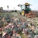 대정농업협동조합 농산물산지유통센터 이미지