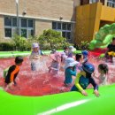 탄금유치원 이미지