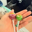 성환식당 | [강원도 맛집] 철원 맛집 오징어물회 성환식당 포장 후기