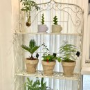 미래블라썸 이미지