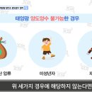 성인태양광발전소 이미지