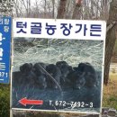 텃골가든